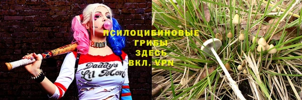 прущая мука Алексеевка