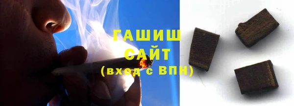 СК Алексин