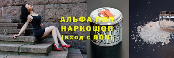 СК Алексин