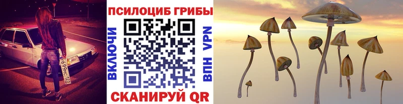 Псилоцибиновые грибы мухоморы  Лесосибирск 